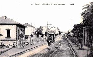 3084- Oran - Route de Gambetta - 1905